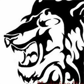 K M Billiard Forum Profile Avatar Image