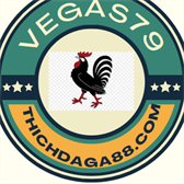 thichdaga79 Billiard Forum Profile Avatar Image