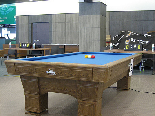 Outdoor 3 Cushion Heated Billiard Table