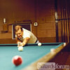 Don Brink Shooting Pool at Raytown Recreation