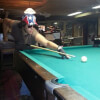 Shooting Pool at Raytown Recreation & Billiards of Raytown, MO