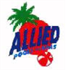Older Allied Pools Racine, WI Logo