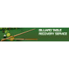 Billiard Table Recovery Service Greenville, MI Logo