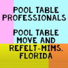 Pool Table Professionals Logo, Mims, FL