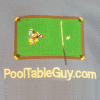 The Pool Table Guy Roopville Logo