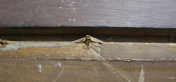 DSCF7489.JPG